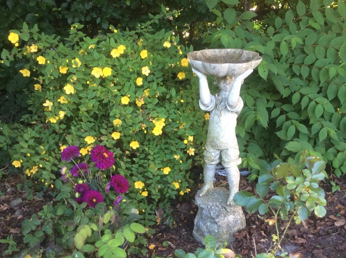 Seven Oaks B&B Ballyhaunis Luaran gambar